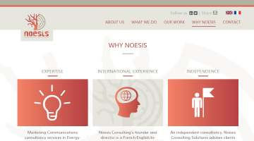 Noesis Consulting Solutions 1